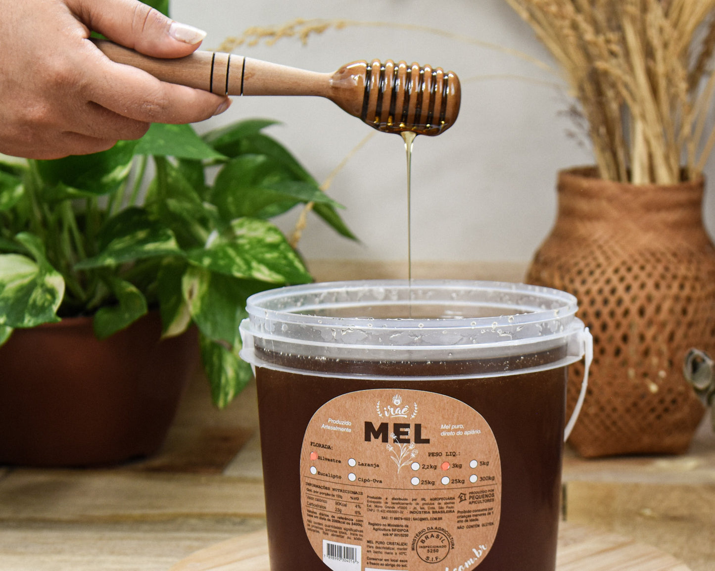 Balde de Mel 3Kg: Silvestre ® Iraê Mel